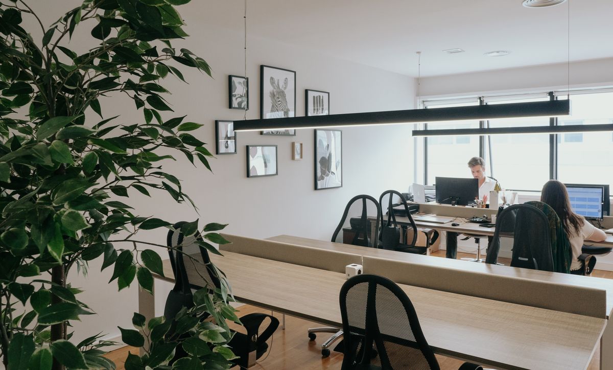 Members working in the coworking room