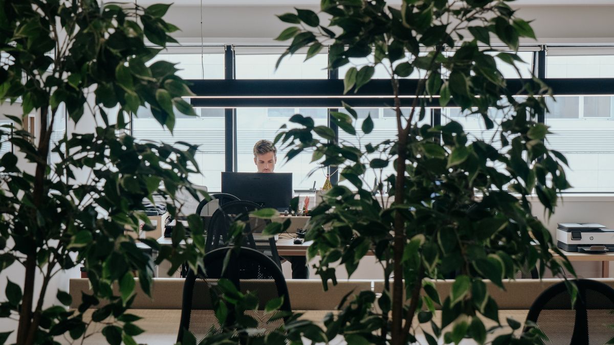 Concentration et plantes