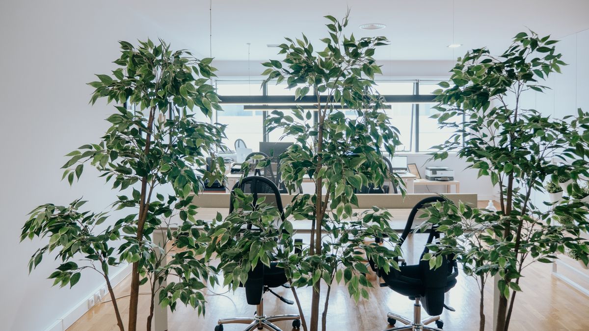 Salle de coworking